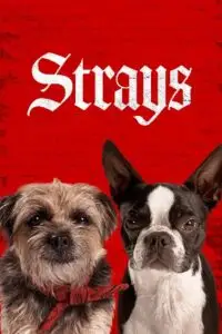 strays 2023